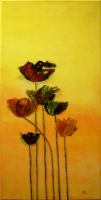 rgn50.30x60